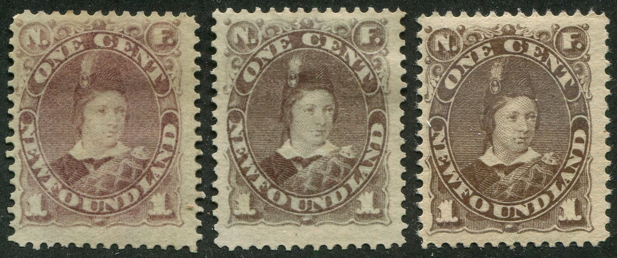0041NF2506 - Newfoundland #41, 42, 43 - Mint
