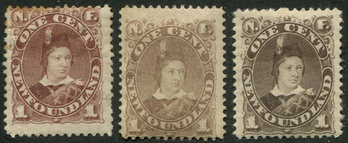 0041NF2507 - Newfoundland #41, 42, 43 - Mint