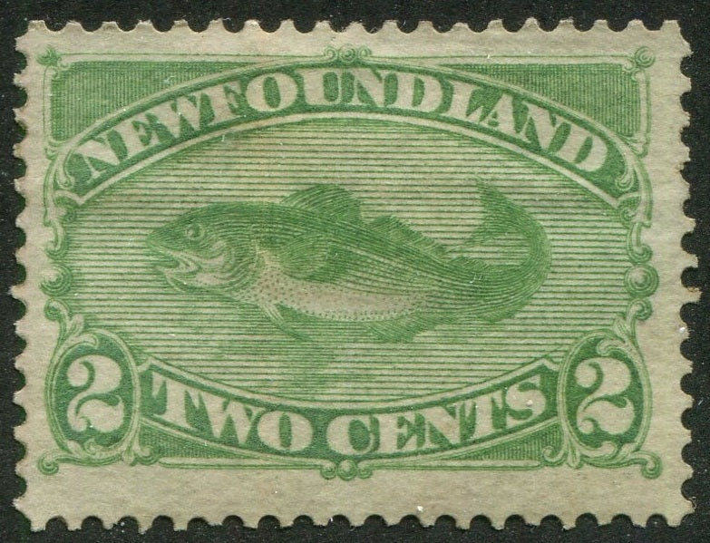 0046NF2507 - Newfoundland #46 - Mint