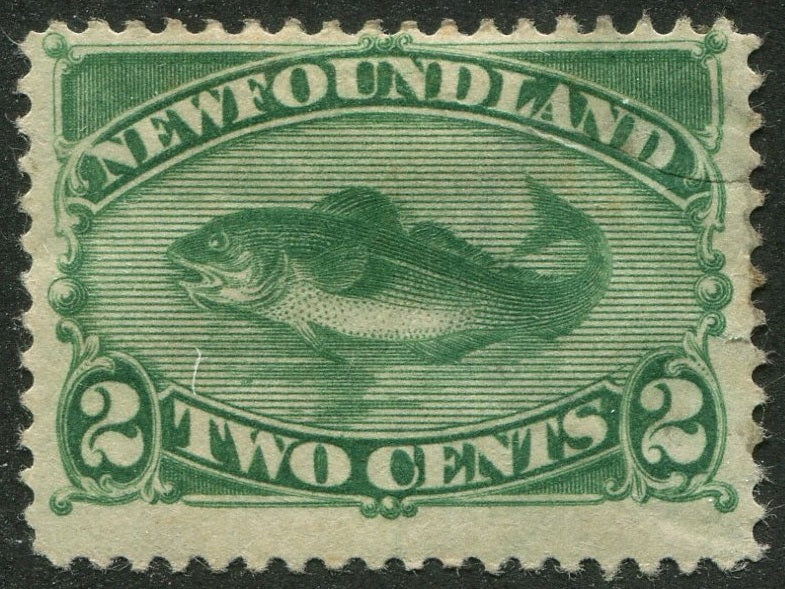 0047NF2507 - Newfoundland #47 - Mint