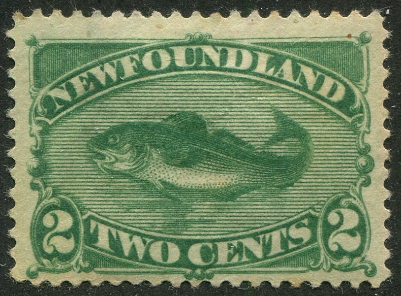 0047NF2507 - Newfoundland #47 - Mint