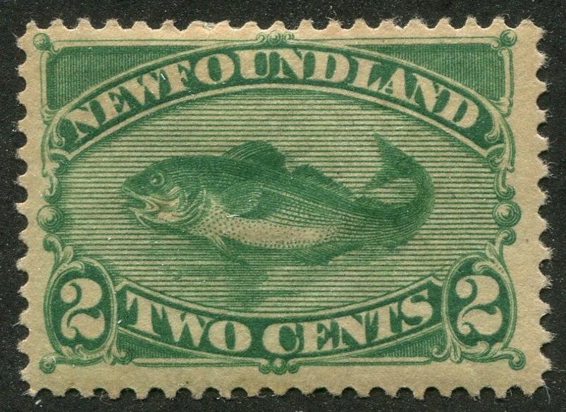 0047NF2508 - Newfoundland #47 - Mint