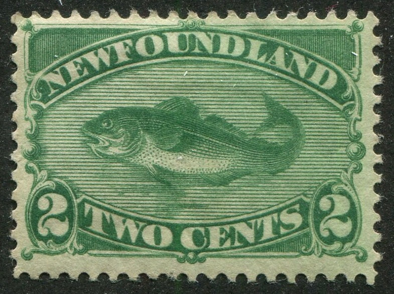 0047NF2607 - Newfoundland #47 - Mint