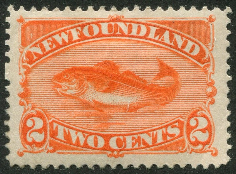 0048NF2507 - Newfoundland #48 - Mint
