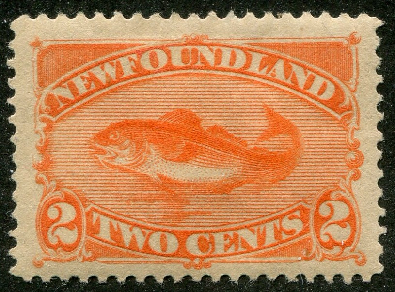 0048NF2603 - Newfoundland #48 - Mint