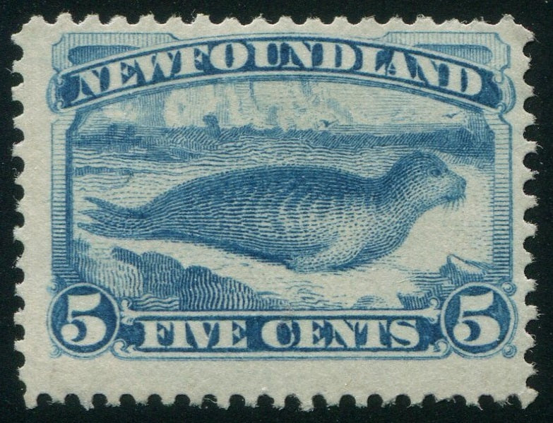 0053NF2507 - Newfoundland #53 - Mint