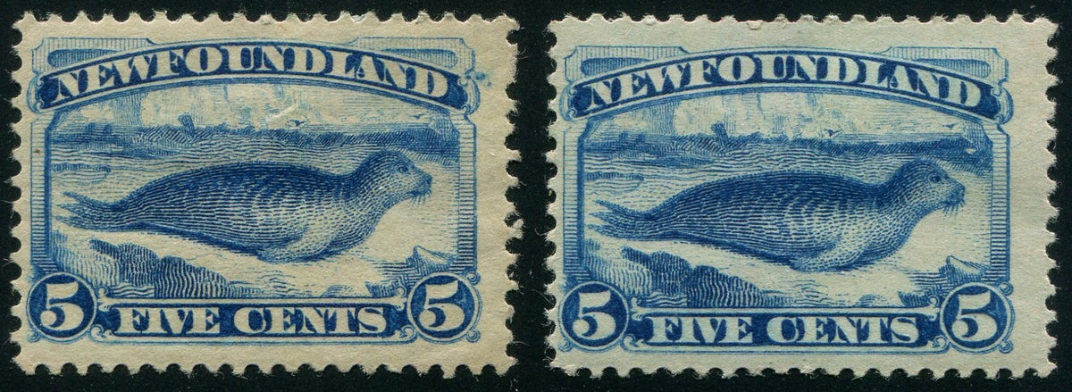 0053NF2507 - Newfoundland #53, 55 - Mint
