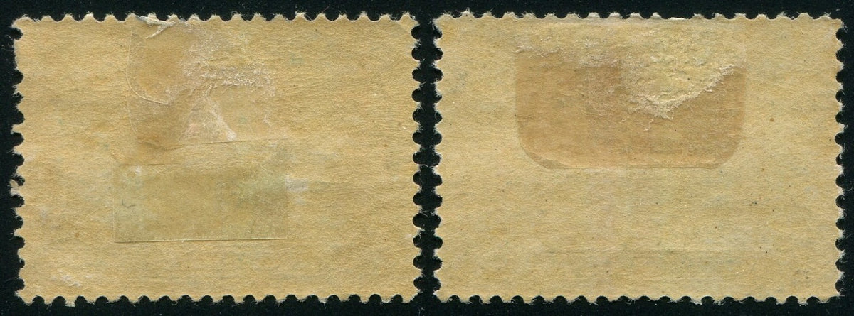 0053NF2507 - Newfoundland #53, 55 - Mint