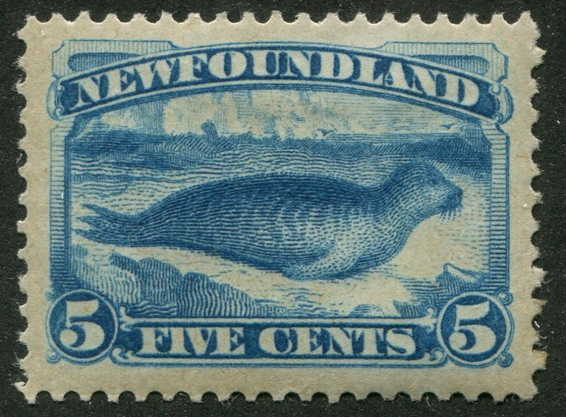 0055NF2410 - Newfoundland #55 - Mint