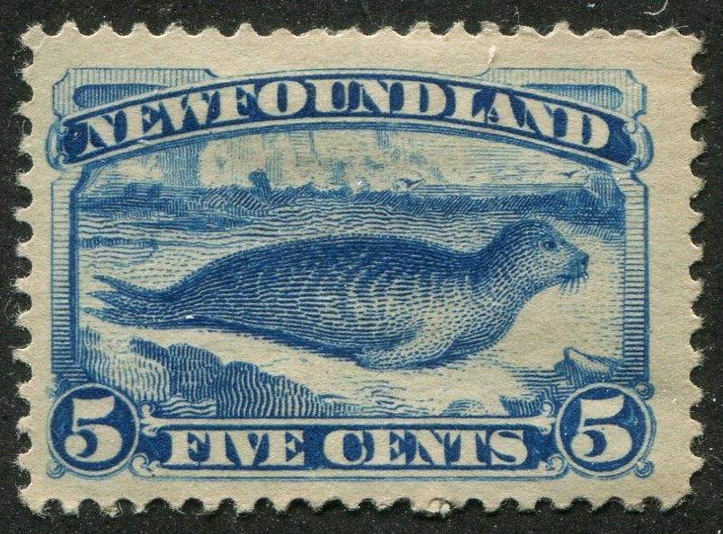 0055NF2607 - Newfoundland #55 - Mint