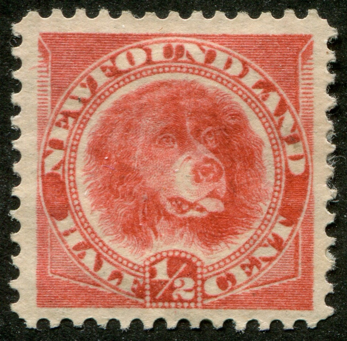 0056NF2507 - Newfoundland #56i - Mint, Plate Scratch