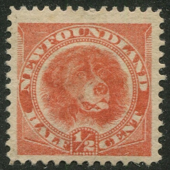 0057NF2511 - Newfoundland #57 - Mint