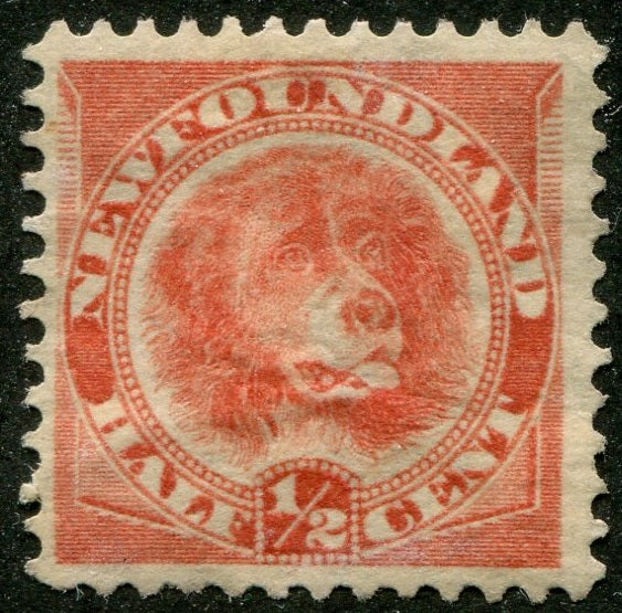 0057NF2603 - Newfoundland #57 - Mint