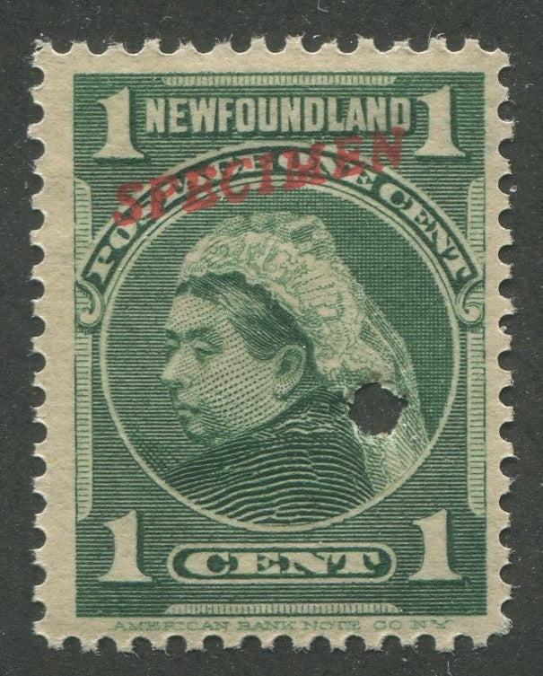 0080NF2404 - Newfoundland #80S - &#39;Specimen&#39;
