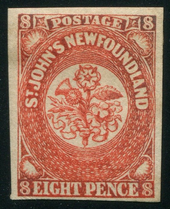 0008NF2507 - Newfoundland #8 - Mint
