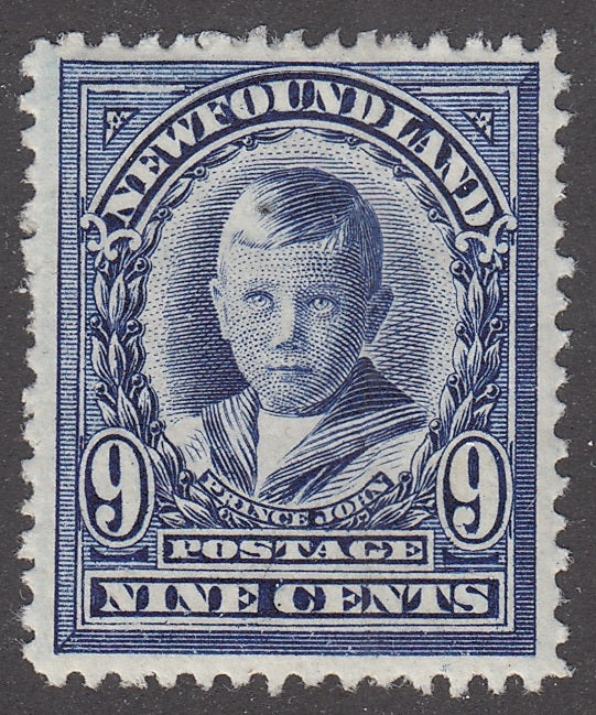 0111NF2201 - Newfoundland #111 - Mint