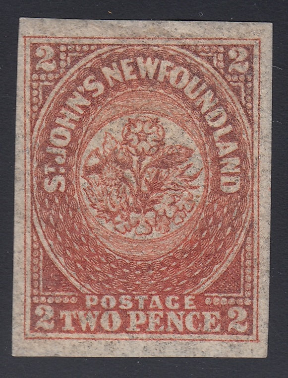 0011NF1806 - Newfoundland #11 - Mint