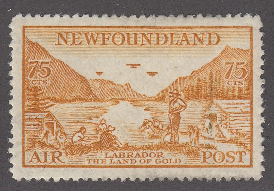 0287NF2102 - Newfoundland C17 - Mint