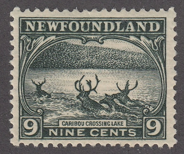 0138NF2101 - Newfoundland #138 - Mint