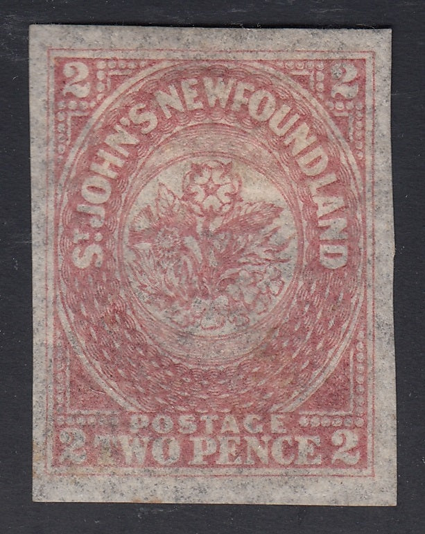 0017NF1806 - Newfoundland #17 - Mint