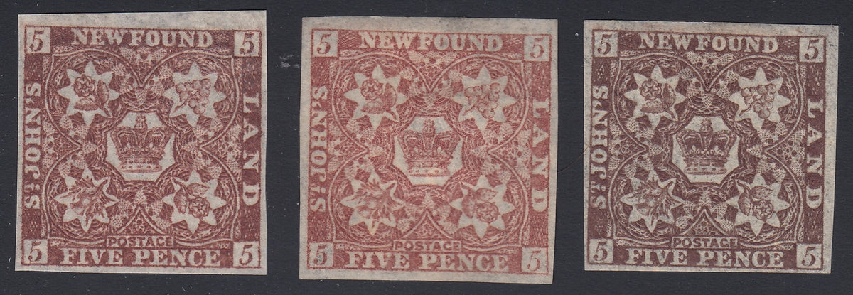 0019NF1806 - Newfoundland #19, 19a &amp; 19b - Mint Set of 3