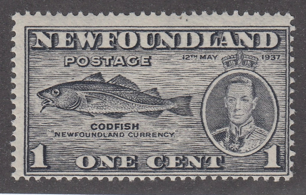 0233NF2102 - Newfoundland #233a - Mint