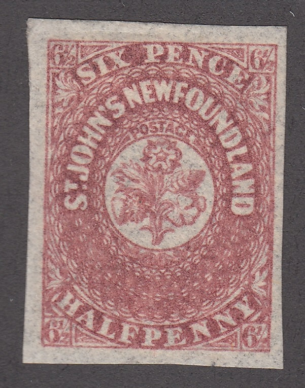 0021NF1806 - Newfoundland #21 - Mint