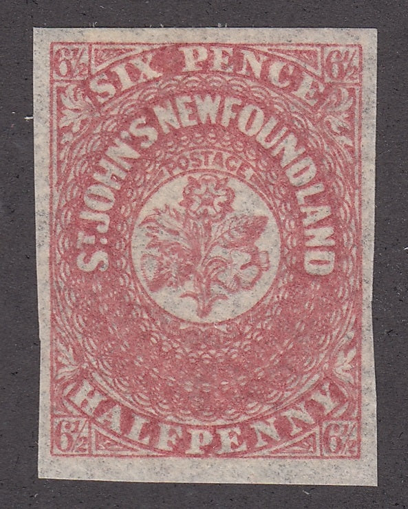 0021NF1712 - Newfoundland #21 - Used