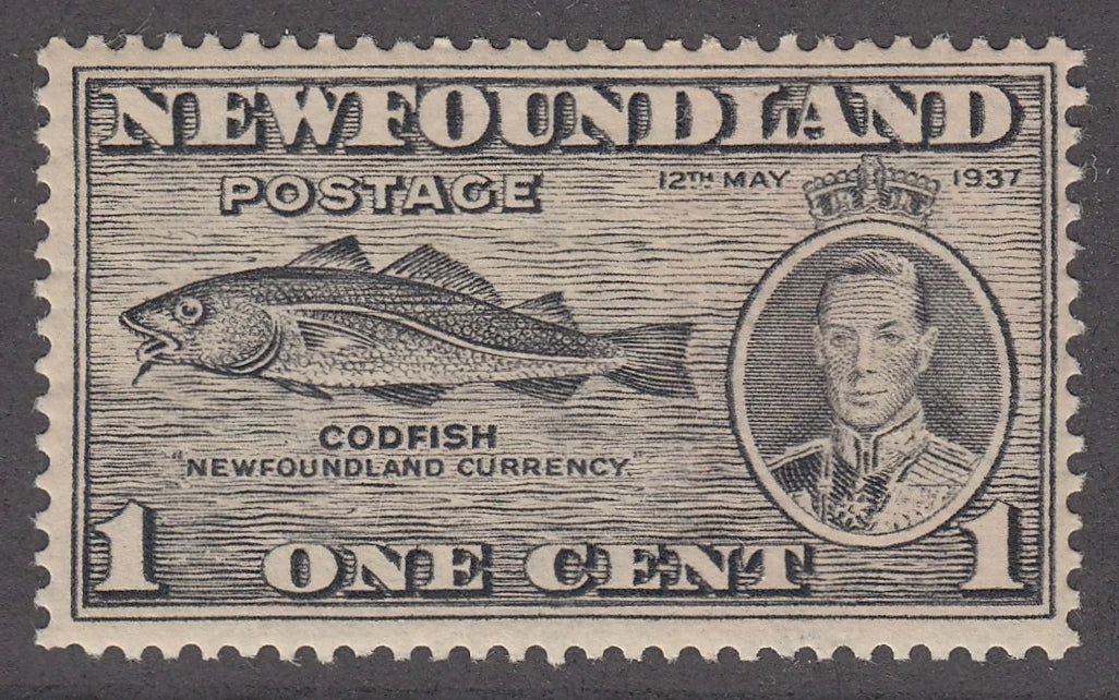 0233NF2102 - Newfoundland #233a - Mint, Varieties