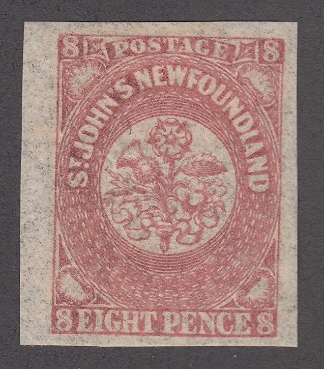 0022NF1806 - Newfoundland #22 - Mint