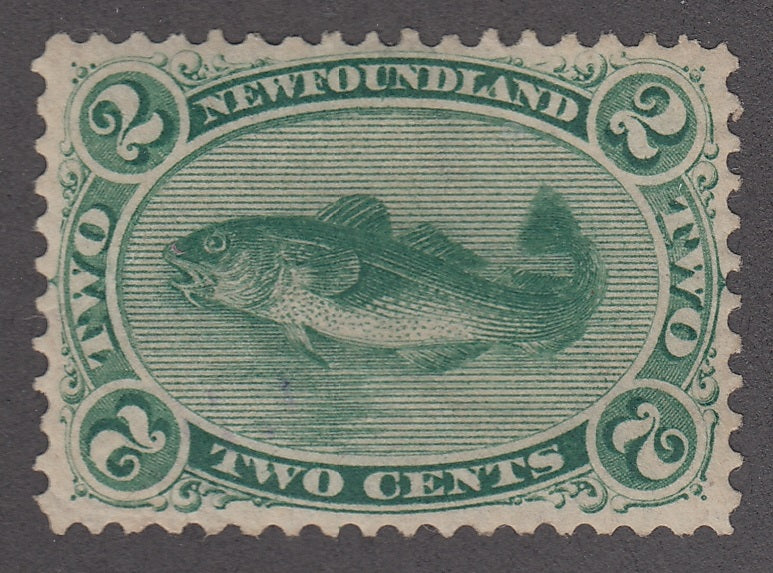 0024NF1806 - Newfoundland #24a - Mint