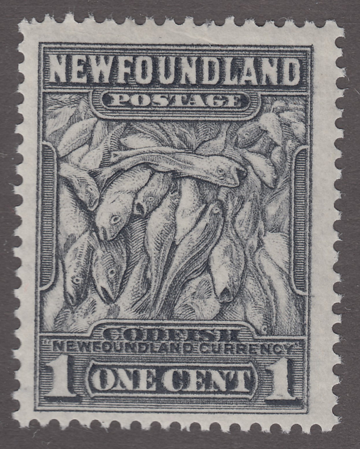 0253NF1801 - Newfoundland #253  - Mint Double Print Variety