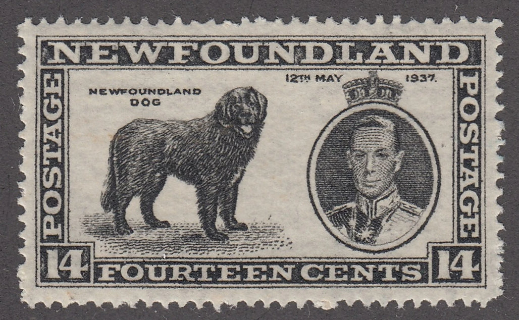0238NF2102 - Newfoundland #238v - Mint