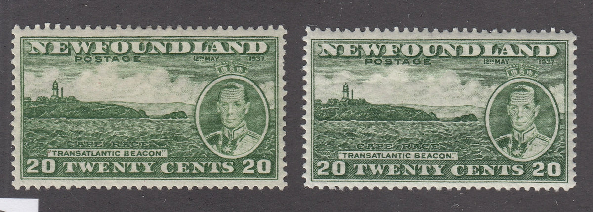 0240NF2102 - Newfoundland #240, 240b - Mint