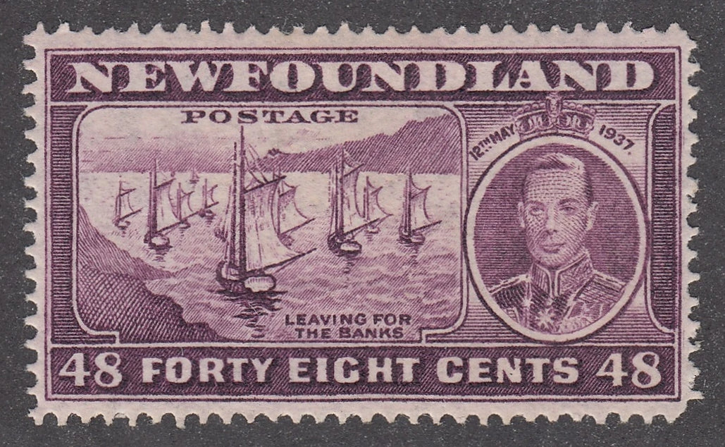 0243NF2102 - Newfoundland #243i - Mint