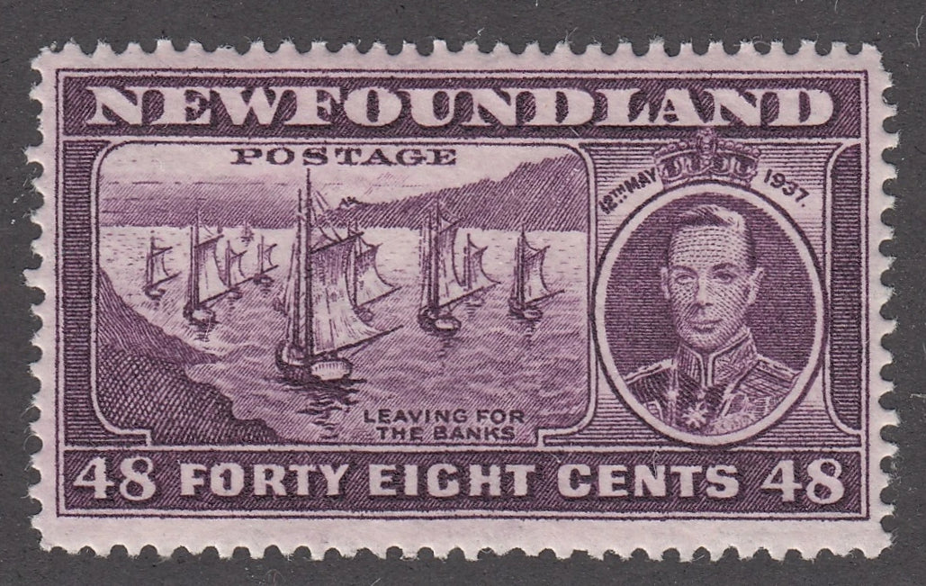 0243NF2102 - Newfoundland #243 - Mint