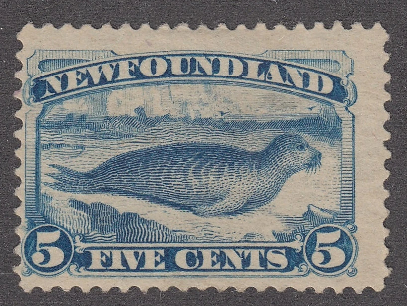 0055NF2101 - Newfoundland #55 - Mint