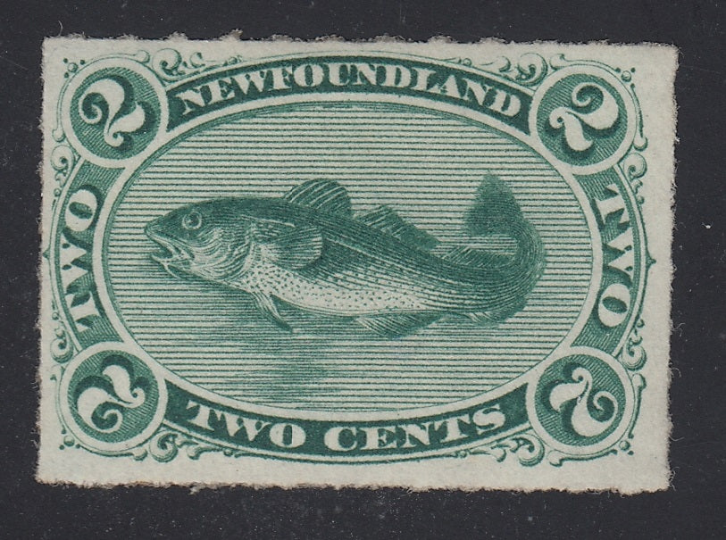 0038NF1712 - Newfoundland #38 - Mint