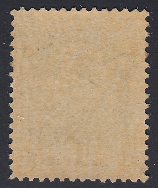 0049NF1806 - Newfoundland #49b - Mint