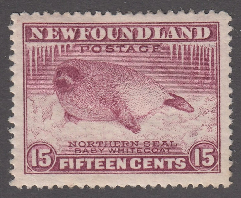 0195NF2102 - Newfoundland #195b - Mint