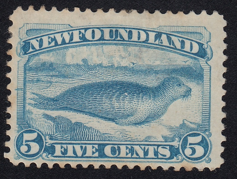 0053NF1712 - Newfoundland #53 - Mint