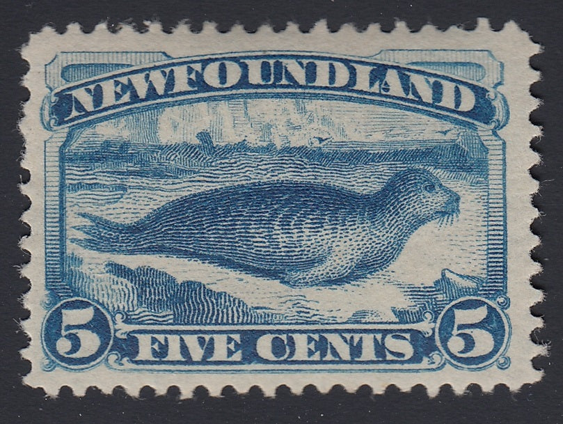 0054NF1806 - Newfoundland #54 - Mint