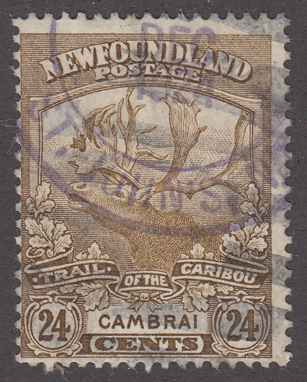 0125NF2101 - Newfoundland #125 - Used