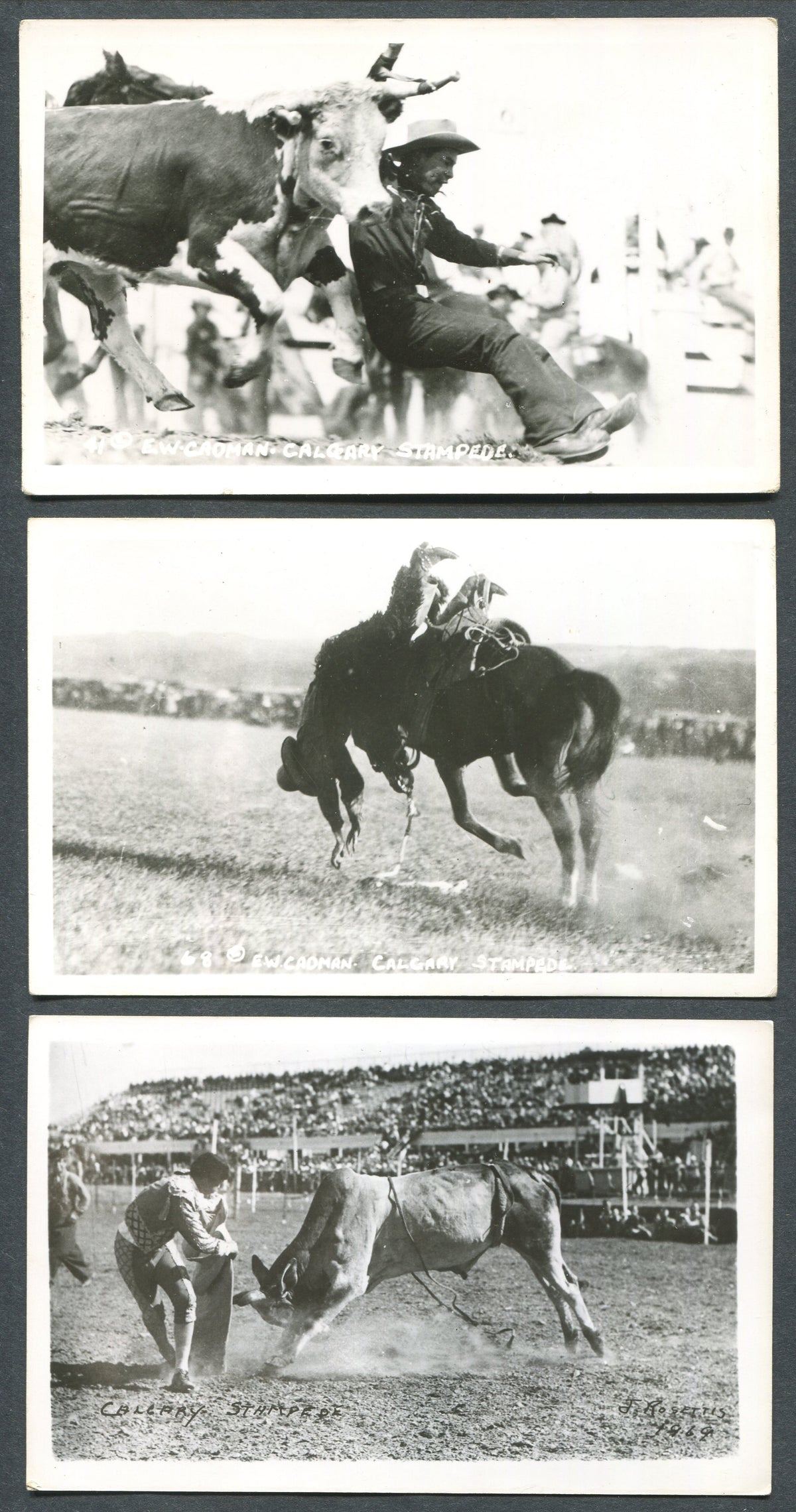 0001CS1910 - Calgary Stampede Postcard Collection