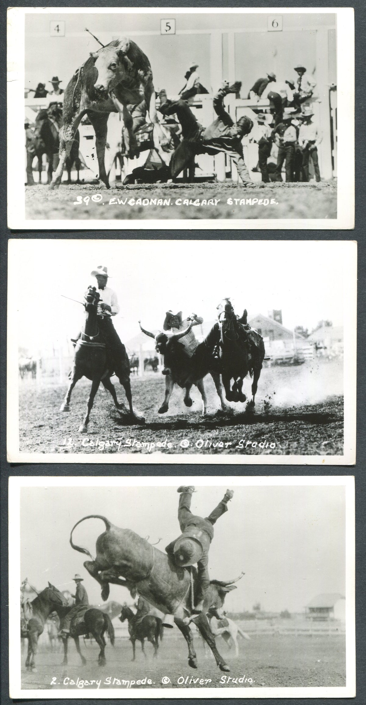 0001CS1910 - Calgary Stampede Postcard Collection
