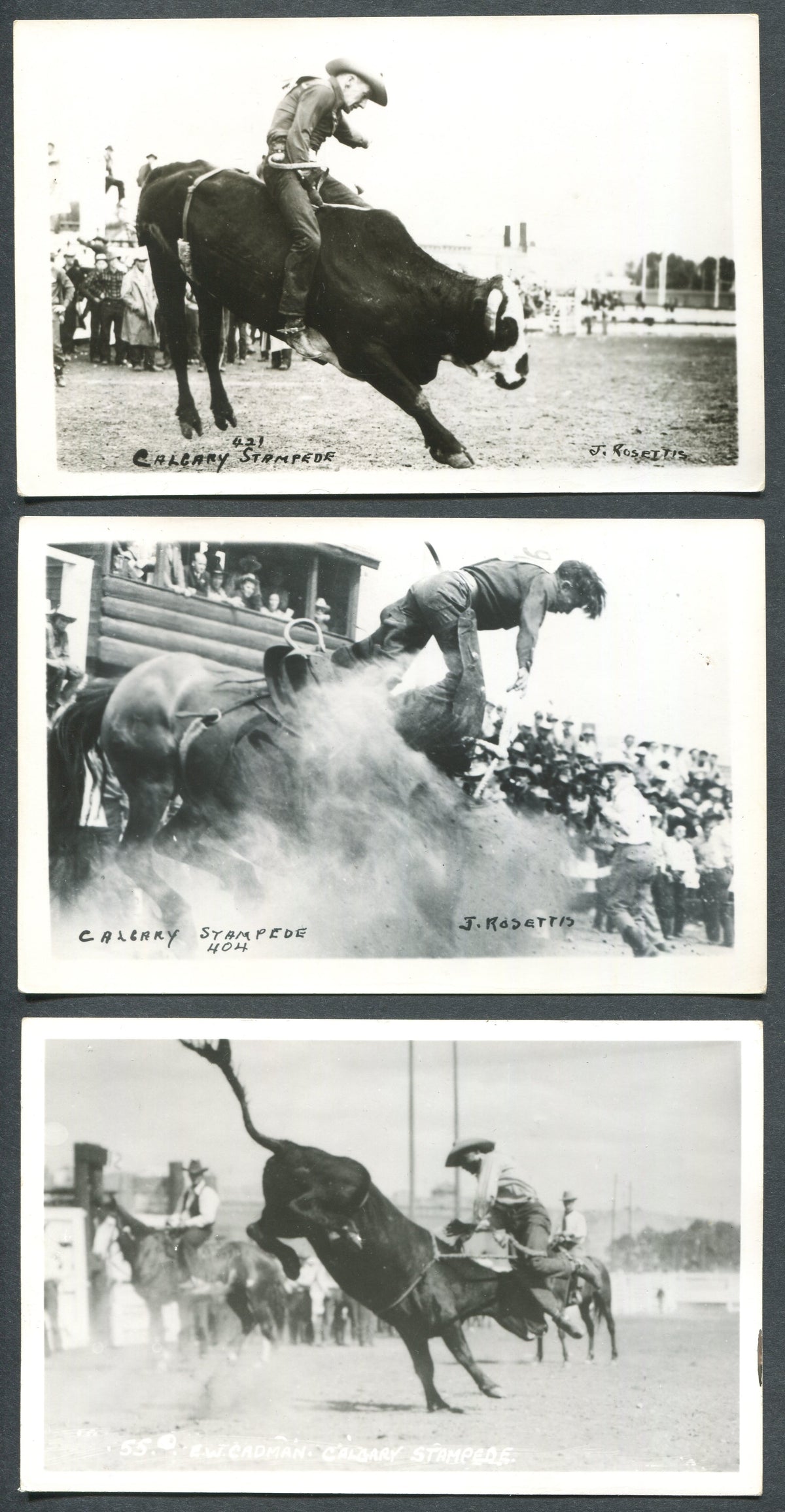 0001CS1910 - Calgary Stampede Postcard Collection