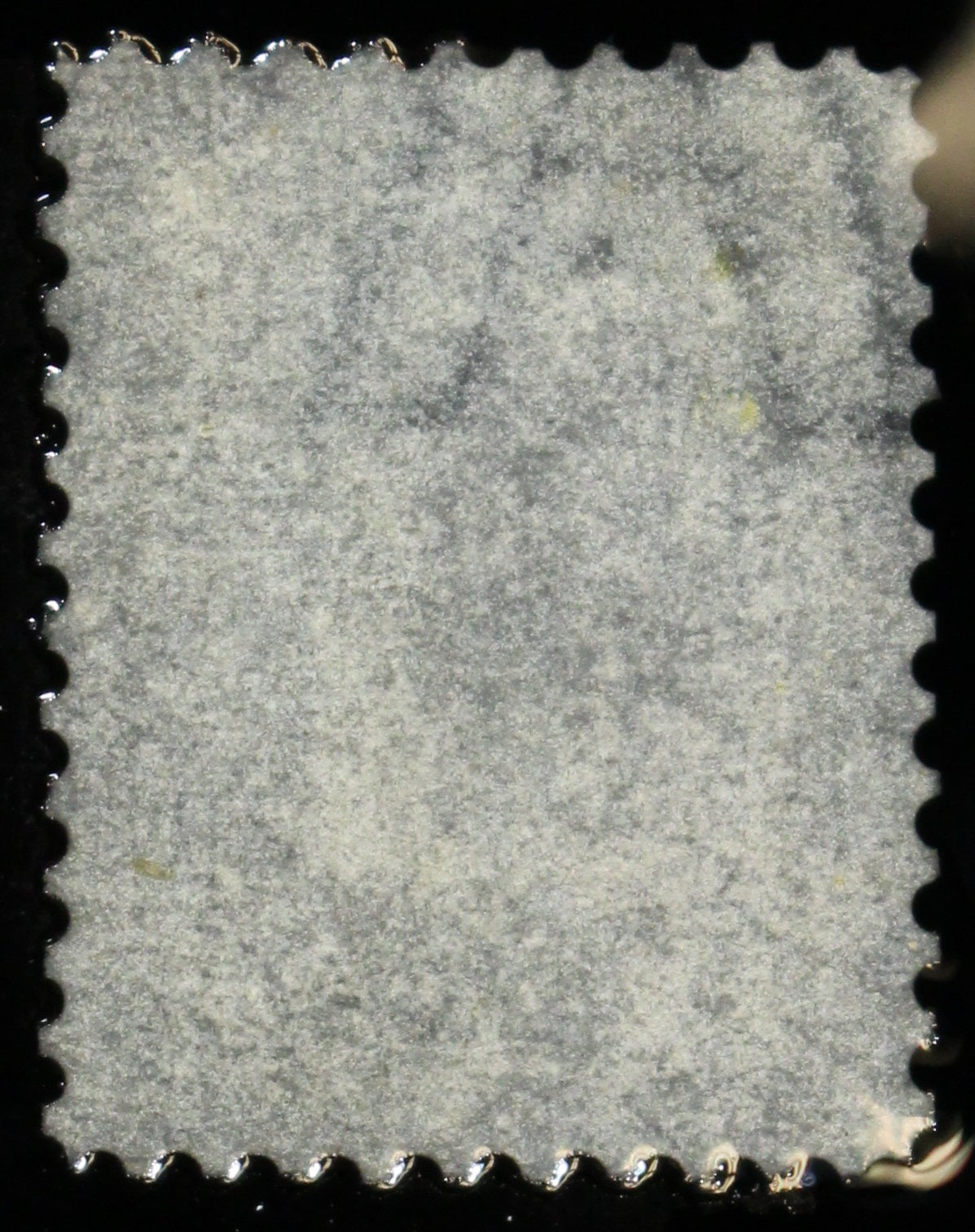 0021CA2007 - Canada #21b - Used Watermarked Bothwell Paper