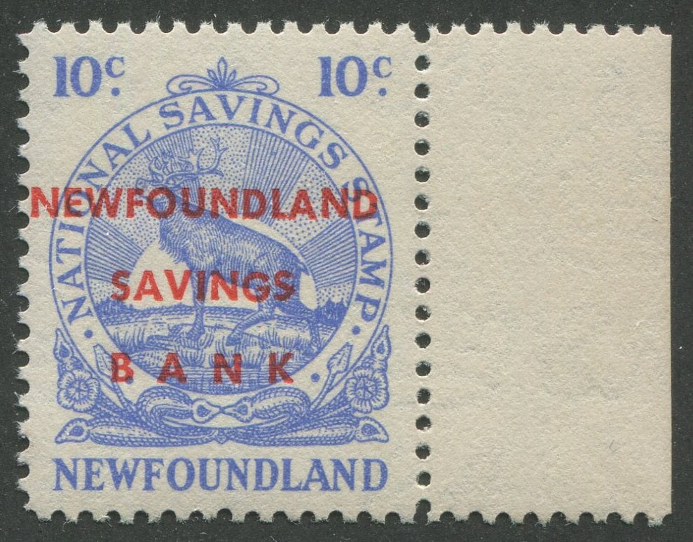 0067NF2207 - NFW4b - Mint