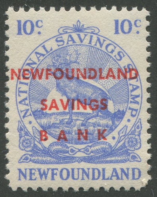 0067NF2207 - NFW4b - Mint