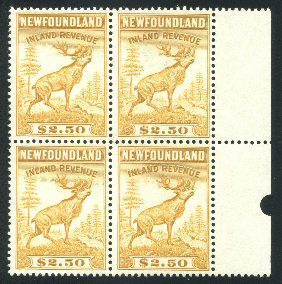 0051NF1708 - NFR51 - Mint Block of 4